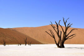 林宝馨《我在等》歌词及评论赏析