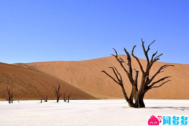 林宝馨《我在等》歌词及表达评论赏析