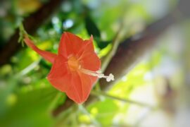 文案短句干净治愈90句（最新）