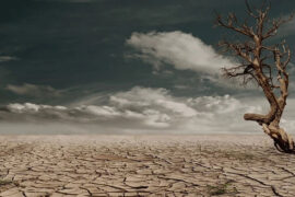 徐秉龙《孤身》歌词表达及评论赏析