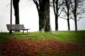 汪苏泷《耿》歌词及评论赏析