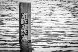 量的多音字组词及成语