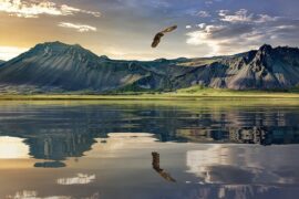 龚俊《小小的肩膀》歌词表达及评论赏析