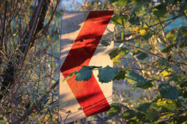 暴躁的兔子《暧昧三十三天》歌词及评论赏析