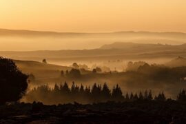 回乡偶书古诗带拼音-封面图