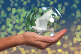 李鑫一《手背的翅膀》歌词表达及评论赏析