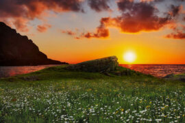 周深《有我》歌词及评论赏析