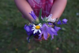 感恩节祝福语简短句子大全