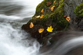 张韶涵《遗失的美好》歌词及评论赏析