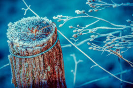 告五人《爱的轮回》歌词表达及评论赏析