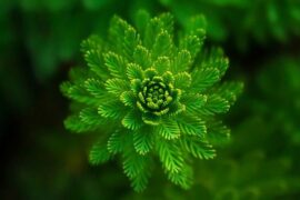 均组词（包含“均”字的组词及成语）