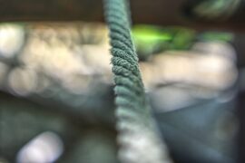 【引组词】包含“引”字的组词及成语封面图