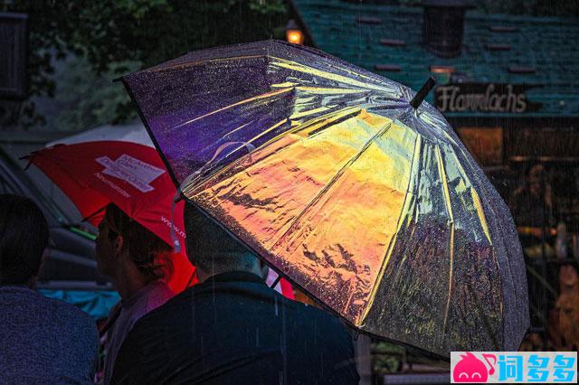 刘德华《冰雨》歌词表达及评论赏析