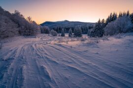 描写冬天景色优美句子