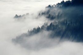 描写雾的句子（精选30句唯美）