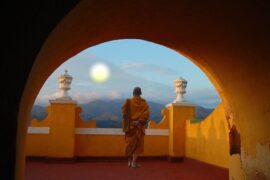 什么叫做精神内耗？怎么学会自我疗愈