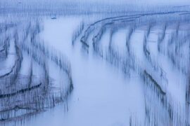 爱在烟尘里——《隐入尘烟》影评和观后感