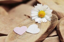 早安撩人情话（最新20句）