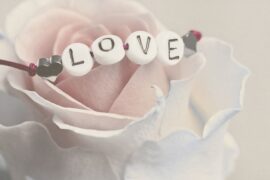 特别含蓄又有深意的情话