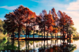 辛弃疾《菩萨蛮·送曹君之庄所》全文及鉴赏