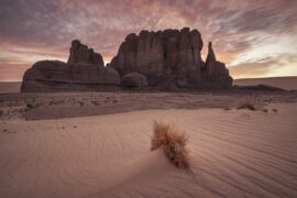 许嵩《曼陀山庄》歌词表达及评论赏析