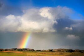 余佳运《天气未报》歌词表达及评论赏析