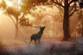 鹿晗《Keep Me Alive》歌词表达及评论赏析