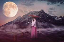 徐良、小凌《客官不可以》歌词表达及评论赏析