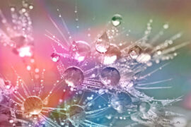 苏轼《满庭芳·蜗角虚名》全文及鉴赏