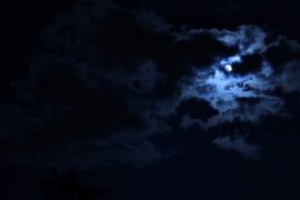 密组词（包含“密”字的组词和成语大全）