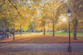 王铮亮《总是会》歌词表达及评论赏析