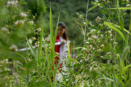 花粥、马雨阳《盗将行》歌词表达及评论赏析