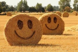 兴的多音字组词-封面图