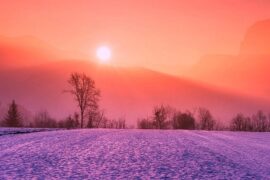 隆的多音字组词