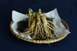 参的多音字组词