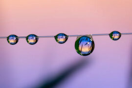 沈以诚《雨》（以家人之名插曲）歌词表达及评论赏析