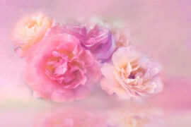 陈子晴、齐奕同《我一直都在》歌词及评论赏析