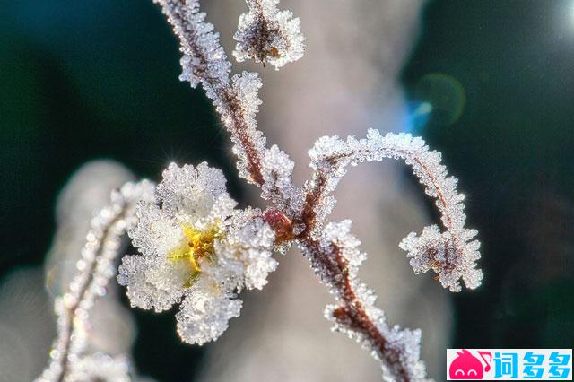 胡夏《落雪》歌词表达及评论赏析