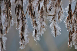 王贰浪《解释》歌词及评论赏析