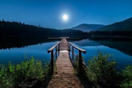 露从今夜白下一句