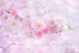 海来阿木、云朵《有生之恋》歌词表达及评论赏析