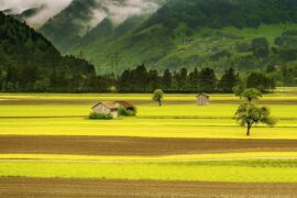 许巍《故乡》歌词表达及评论赏析