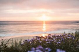 许巍《生活不止眼前的苟且》歌词及评论赏析