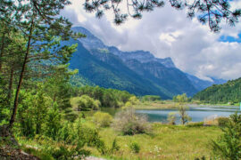 要不要买菜《风儿吹》歌词表达及评论赏析