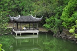 要不要买菜《琴师》歌词及评论赏析