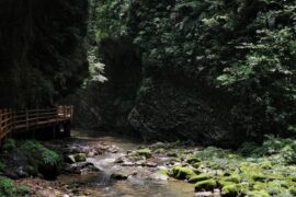 幽深的近义词和造句例子