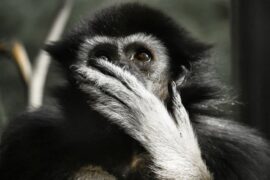 惊愕的近义词及造句例子