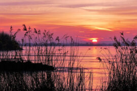 汪苏泷《为什么难过一直在重播》歌词表达及评论赏析
