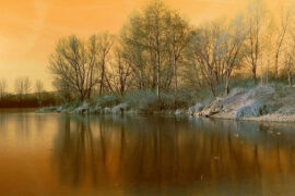 杨坤《我比从前更寂寞》歌词表达及评论赏析