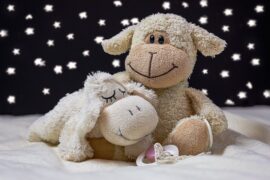 睡觉的泰迪熊，特别暖心的晚安句子